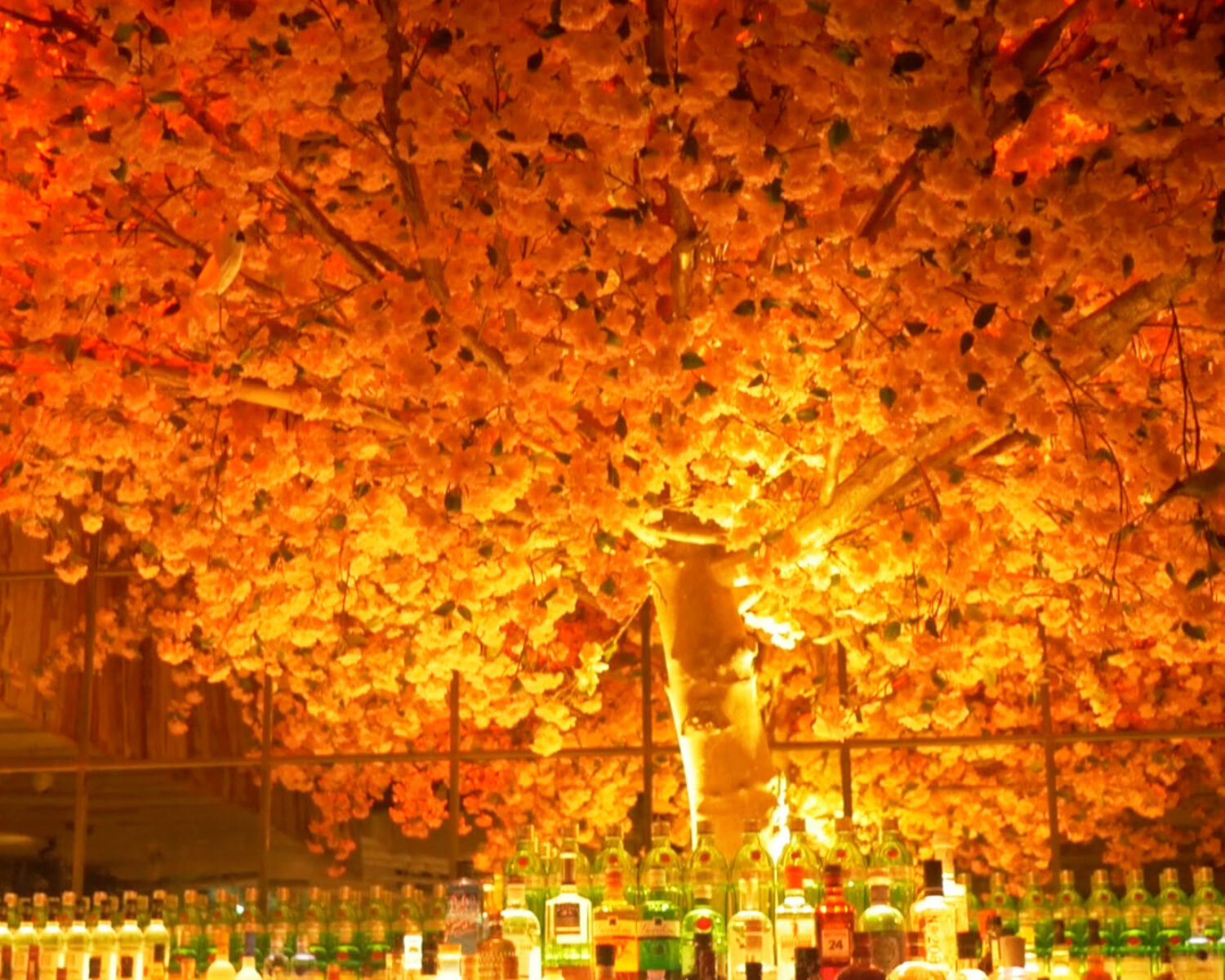 Video Marketing, Smart Video Slider 17